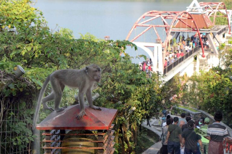 Tradisi Syawal Gua Kreo Semarang yang Mengikat Kebersamaan