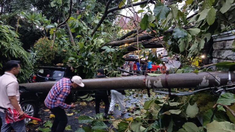 Hujan Angin di Semarang, Pohon dan Tiang Listrik Berjatuhan